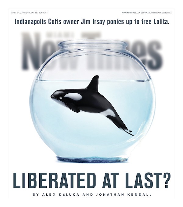 Liberated at Last?