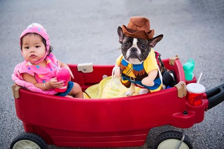 The Ten Best Halloween Events For Kids in South Florida