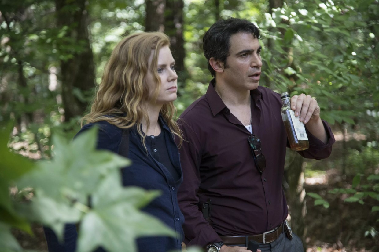 Gillian Flynn and HBO’s <i>Sharp Objects</i> Cut to the American Bone
