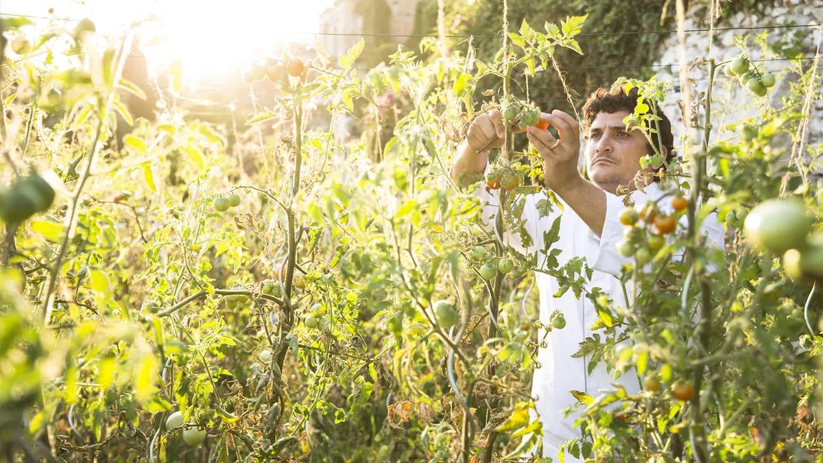 At Florie’s, a Michelin-Starred Chef Brings the South of France to Palm Beach