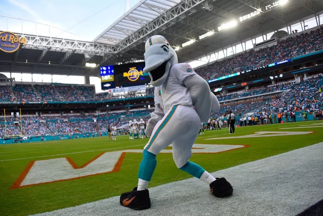 Everything You Need to Know About the Dolphins’ Preseason Win Against the Falcons
