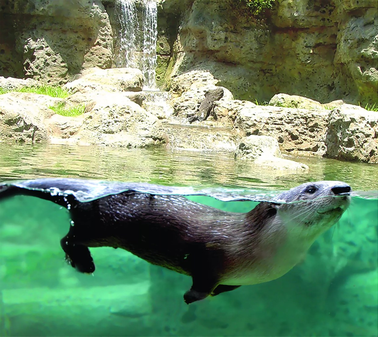 The Ten Best Things to Do in South Florida This Week