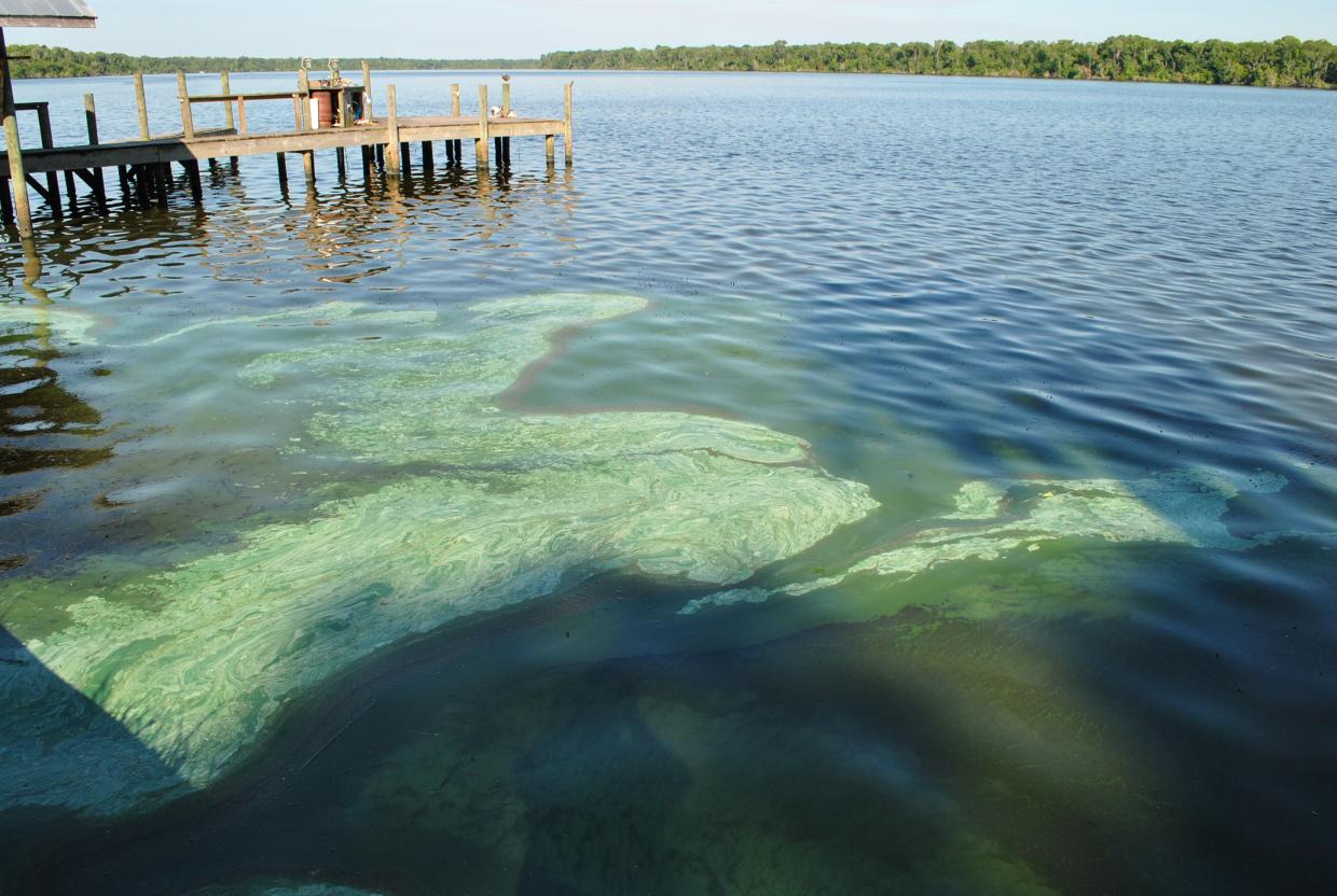 Trump Repeals Obama-Era Clean-Water Protections
