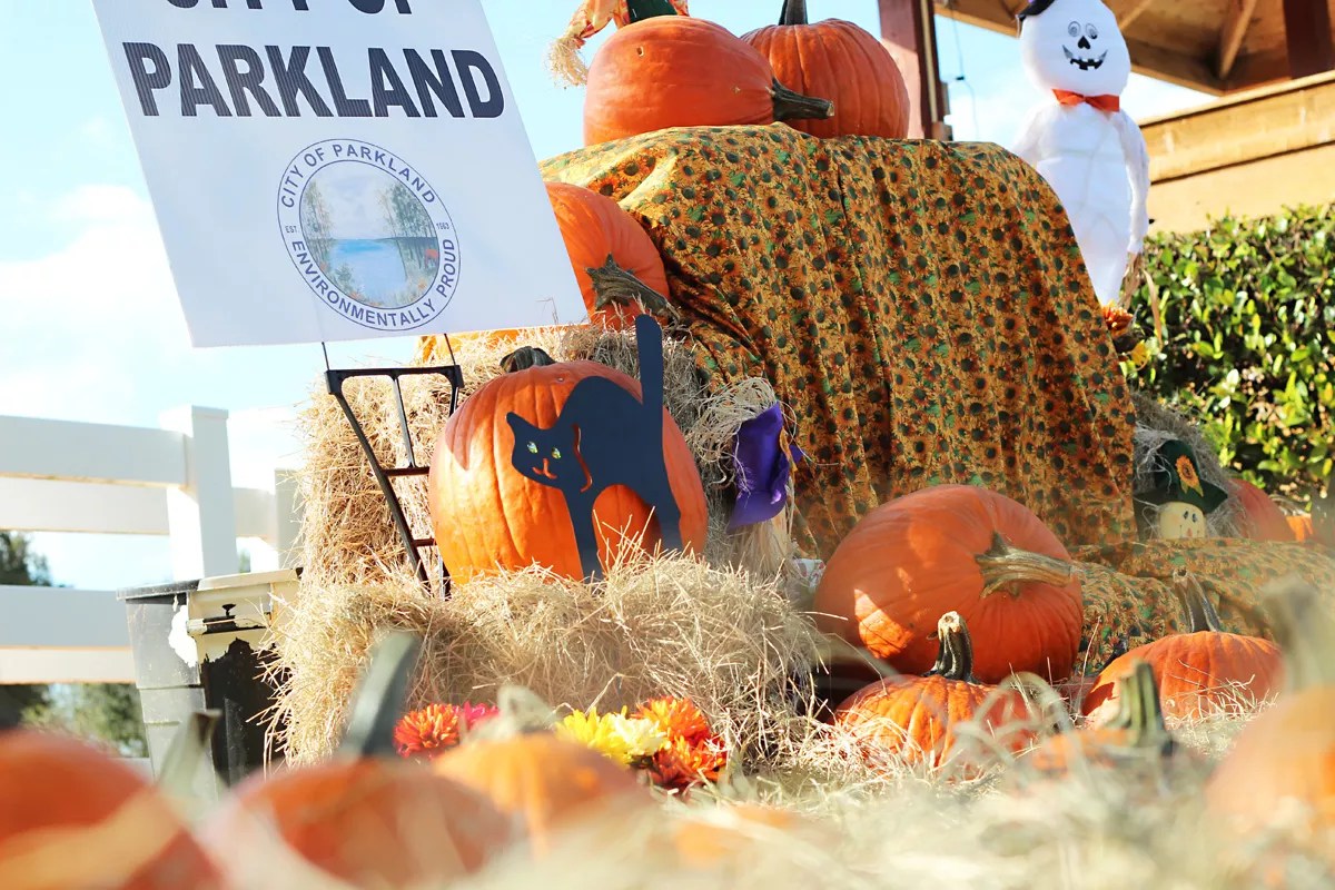 The Eight Best Halloween 2019 Events in Broward County
