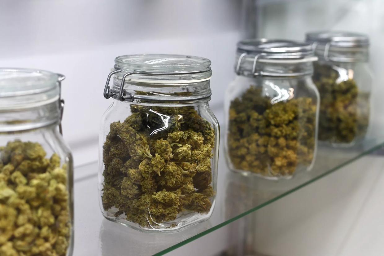 Two Bills Could Dismantle Florida’s Medical Marijuana “Cartel”