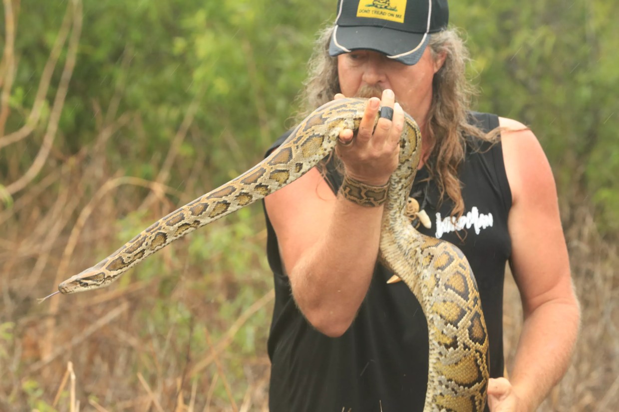 Florida’s Reality TV Python Hunter Expects More Blood in Upcoming Season