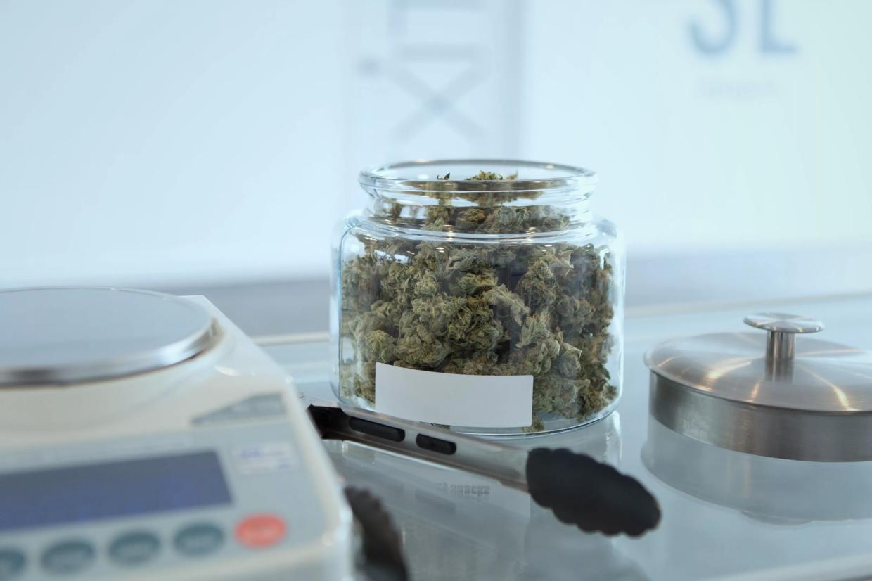 Florida Bill May Expunge Some Cannabis Arrests — Does It Go Far Enough?