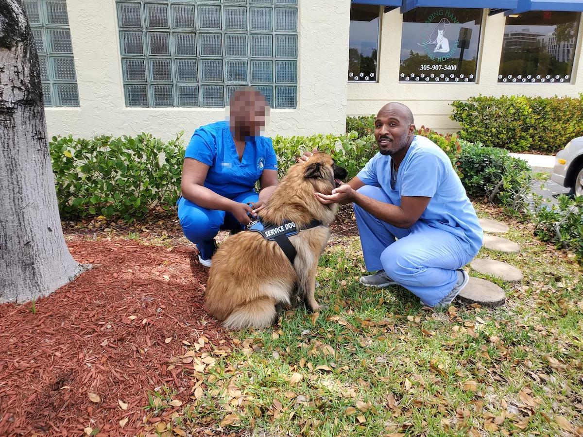 Pet Owners Fear Their Dogs Were Abused by Sexually Deviant Aventura Vet