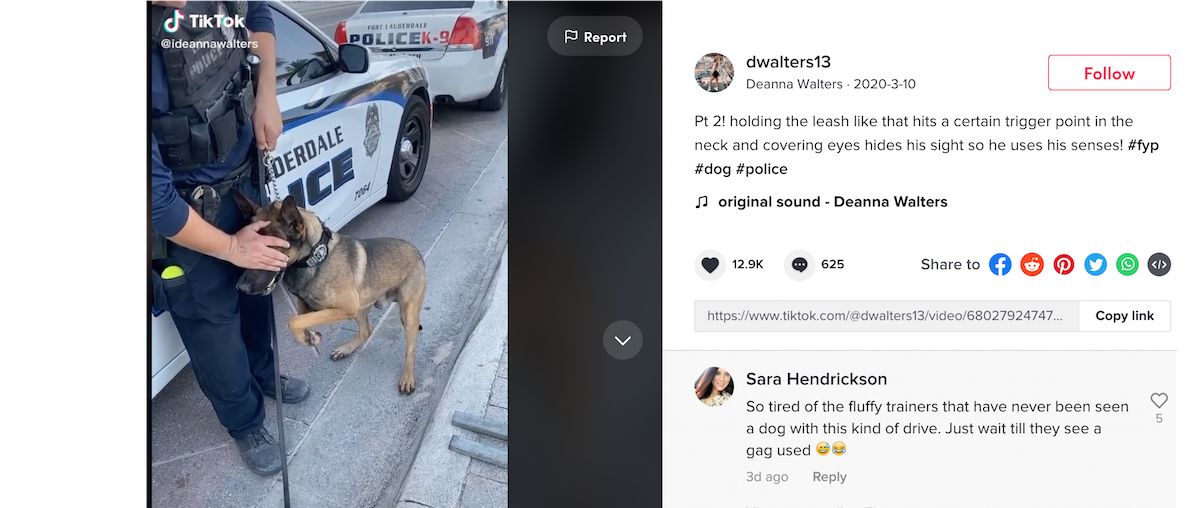 Police Trainer Explains Viral TikTok of FLPD Officer Yanking K-9