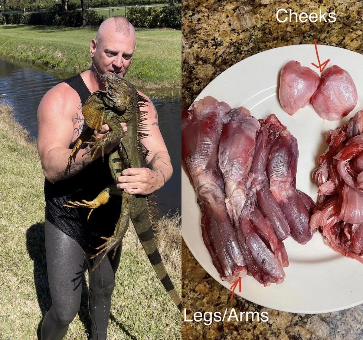 Chicken of the Trees: The Ultimate Guide to Catching and Cooking Iguanas