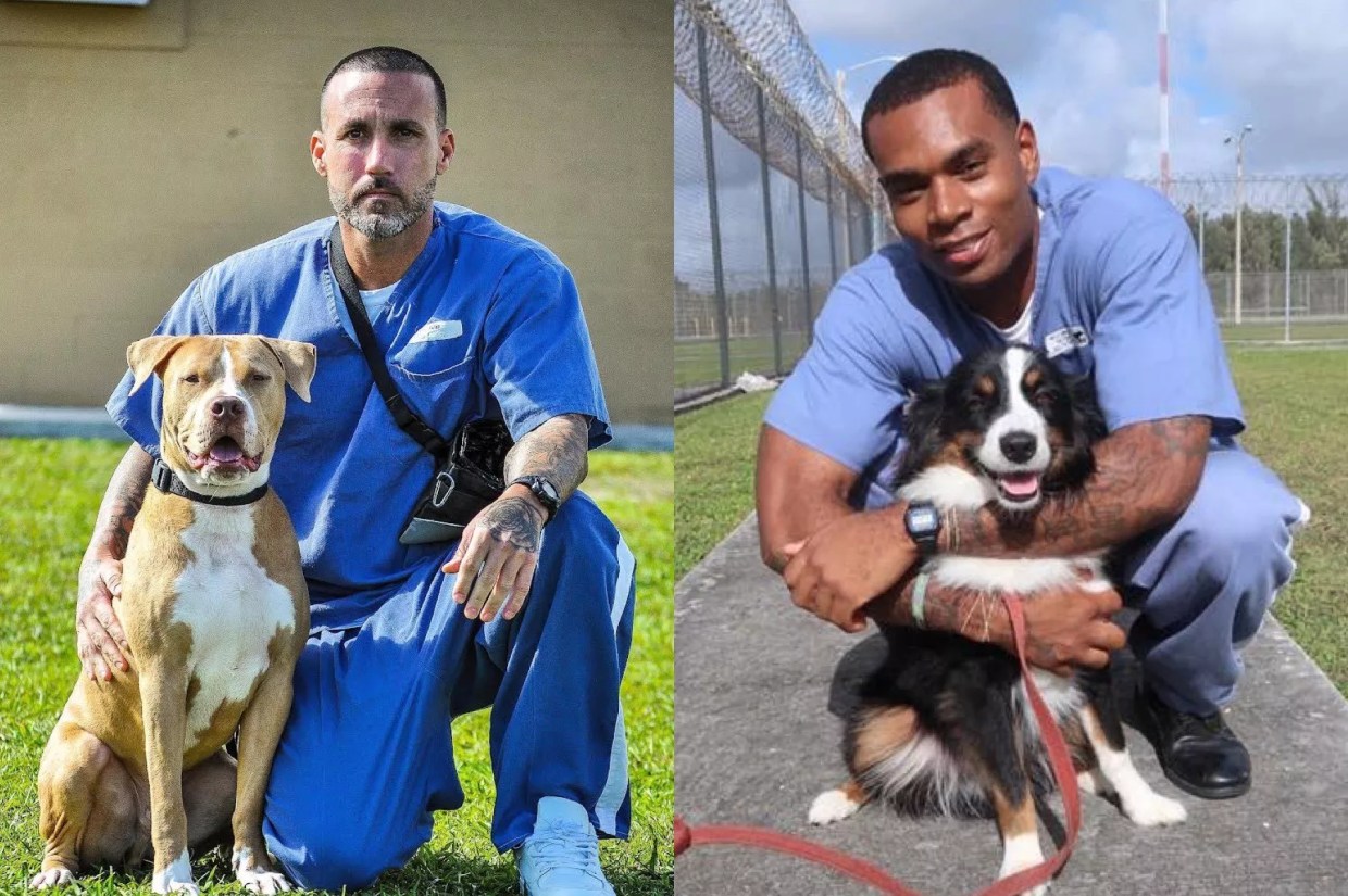 Magic City K9 Gives Second Chances to Incarcerated Men and Shelter Dogs