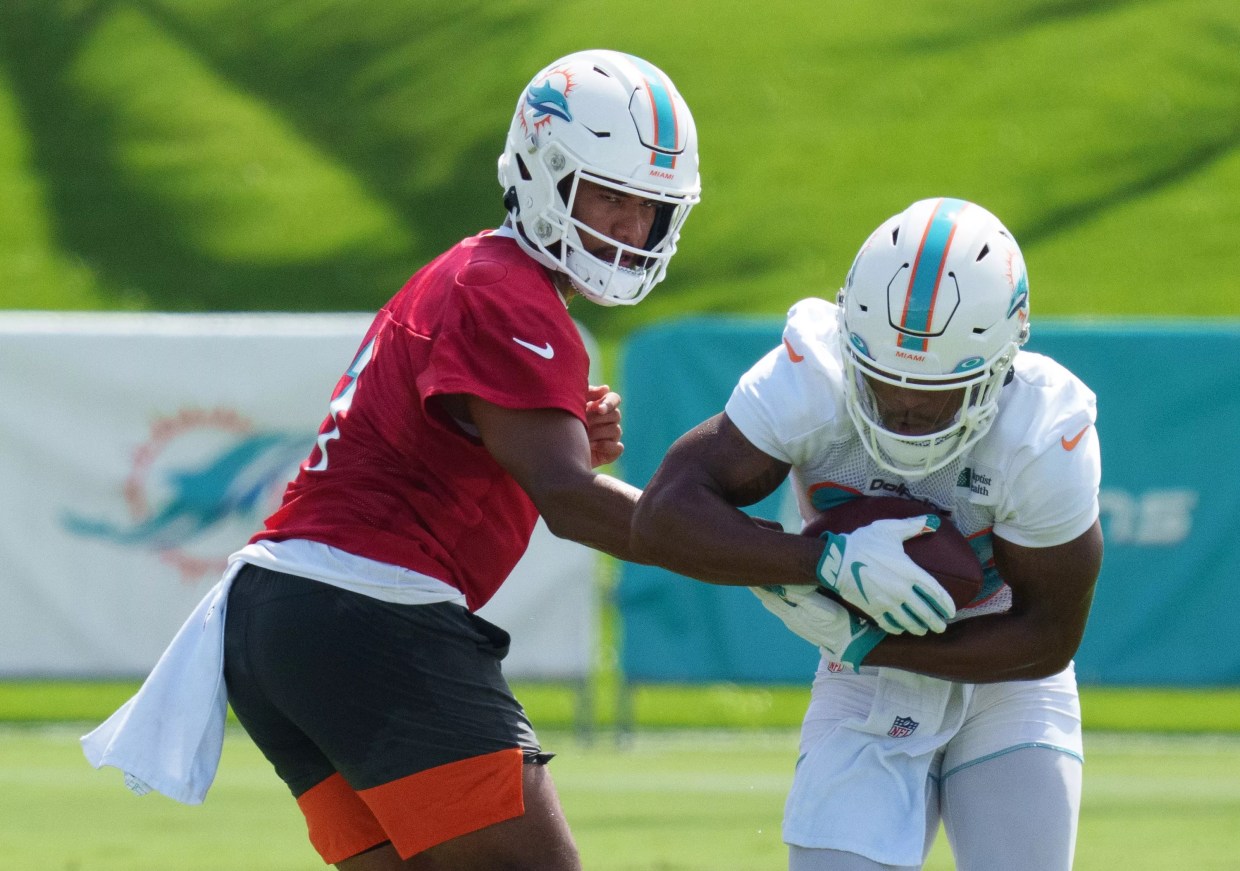 Things to Know Before Attending Miami Dolphins Training Camp
