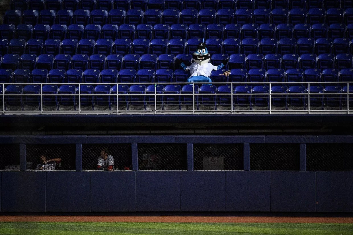 Announcing the <i>New Times</i> Local Sports Team Mascot Awards