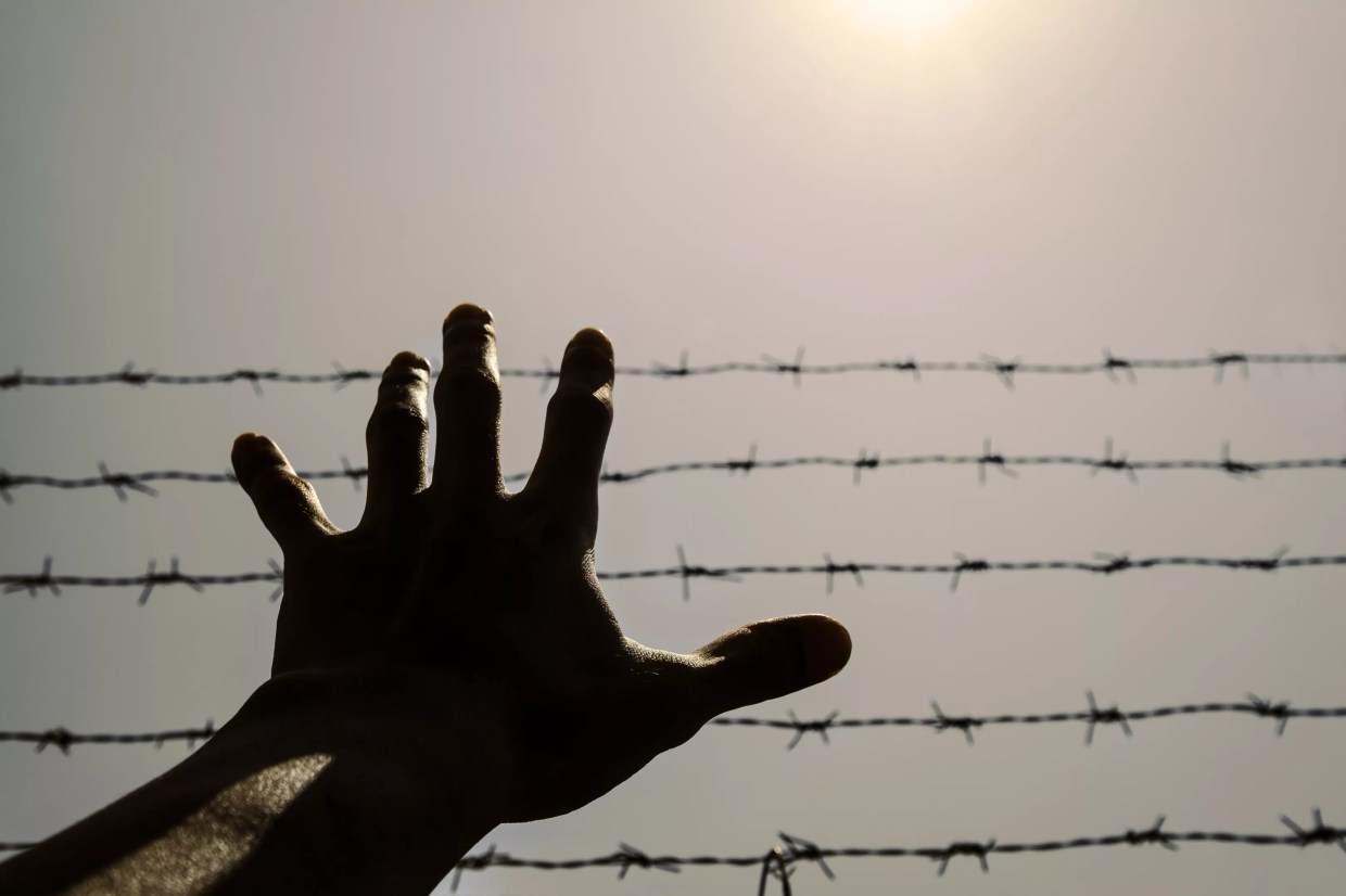“Cooked” Alive: Inmates Stew in Florida Prisons’ Extreme Heat