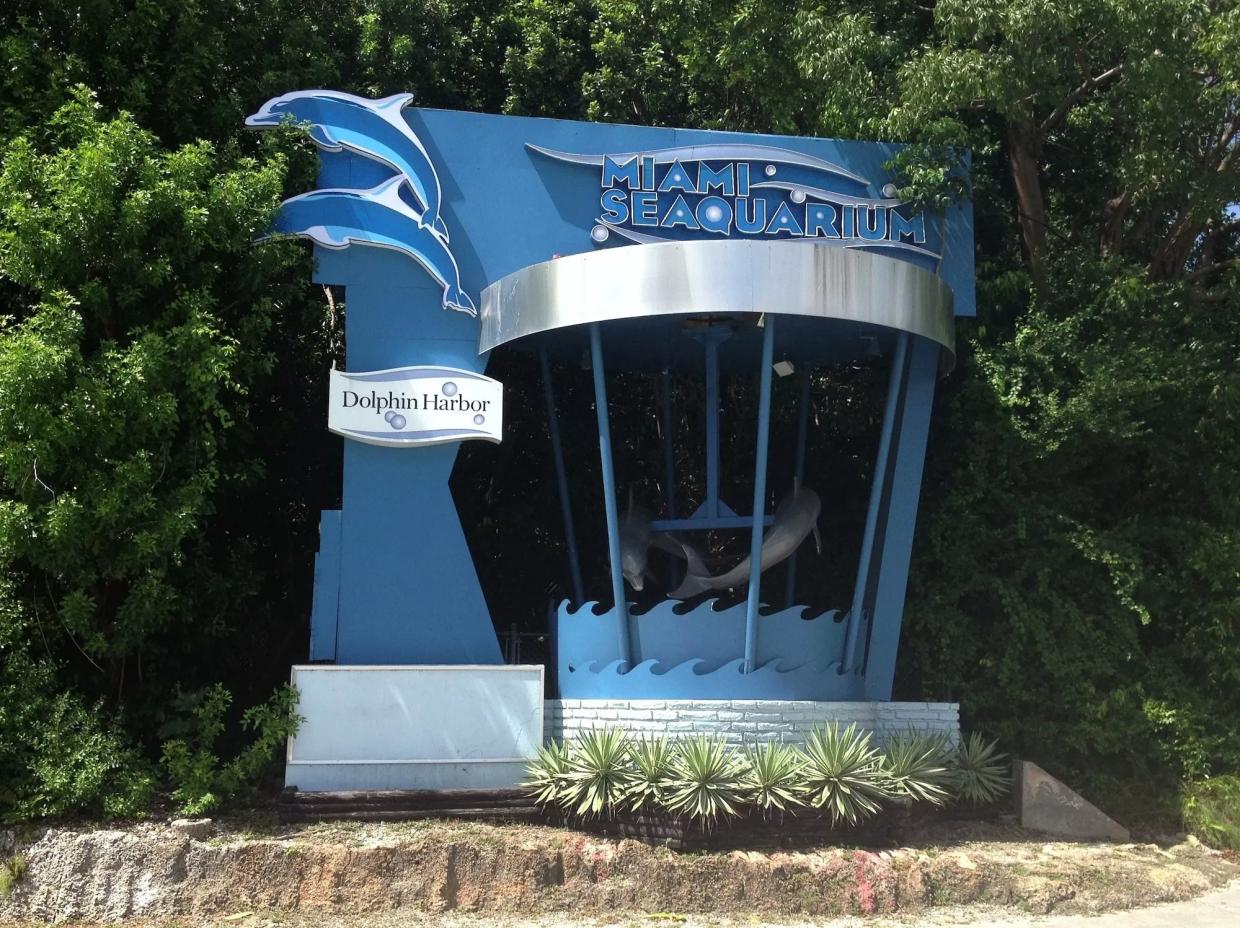 Shortly Before the County Terminated Its Lease, We Visited the Seaquarium, Miami’s Saddest Attraction