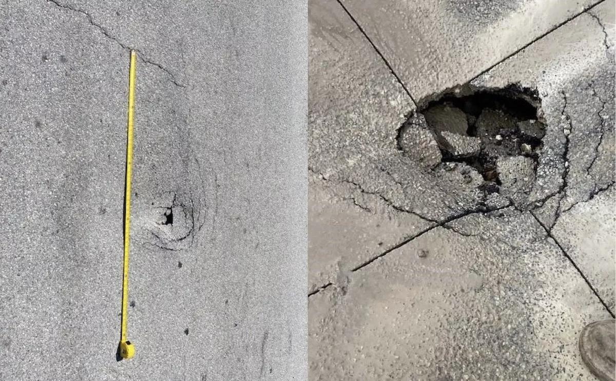“Only in Florida”: Iguanas Create Sinkhole in Key Largo Road