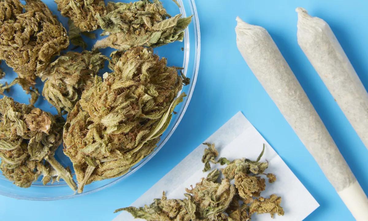 Reefer Registry: Guide to Miami-Dade, Broward, and Palm Beach Marijuana Dispensaries